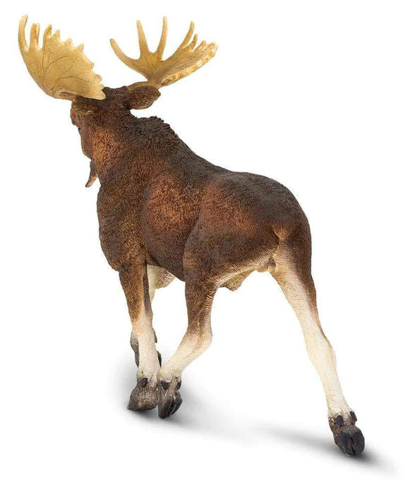 #113289 Moose