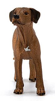 #13895 Rhodesian Ridgeback