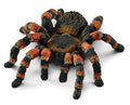 #14829 Tarantula