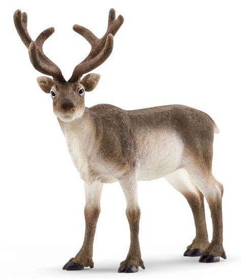 #14837S Reindeer