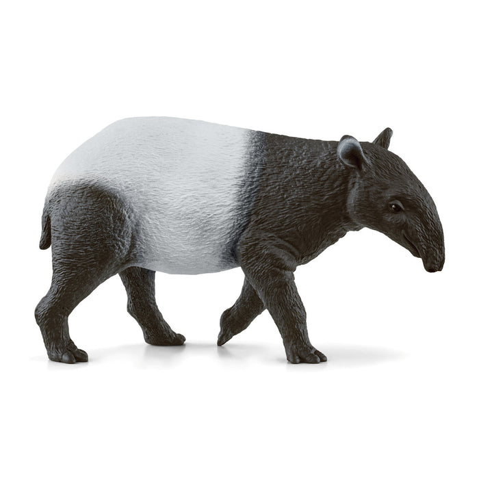 #14850S Tapir