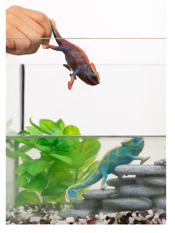 #14858S Chameleon