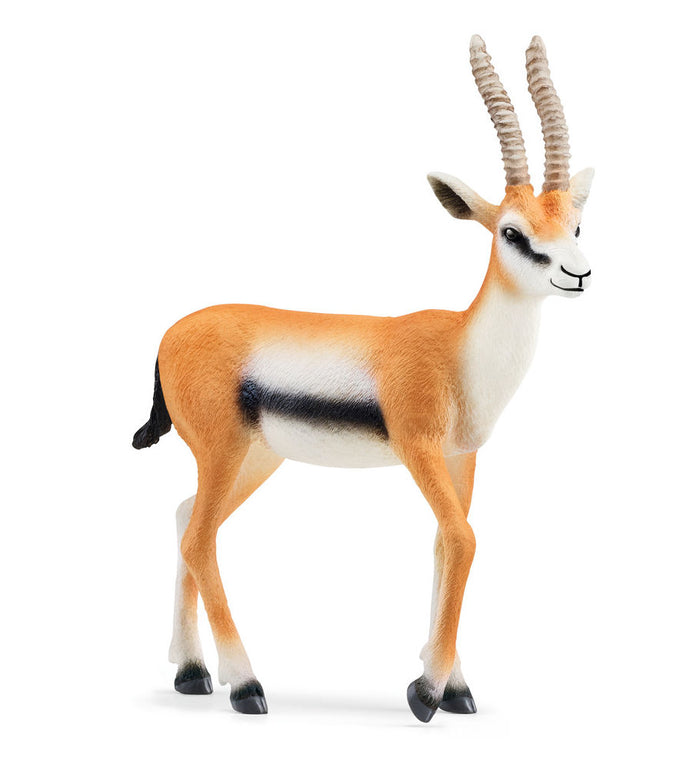 #14861S Thomson Gazelle