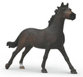 #14914S English Thoroughbred Mare