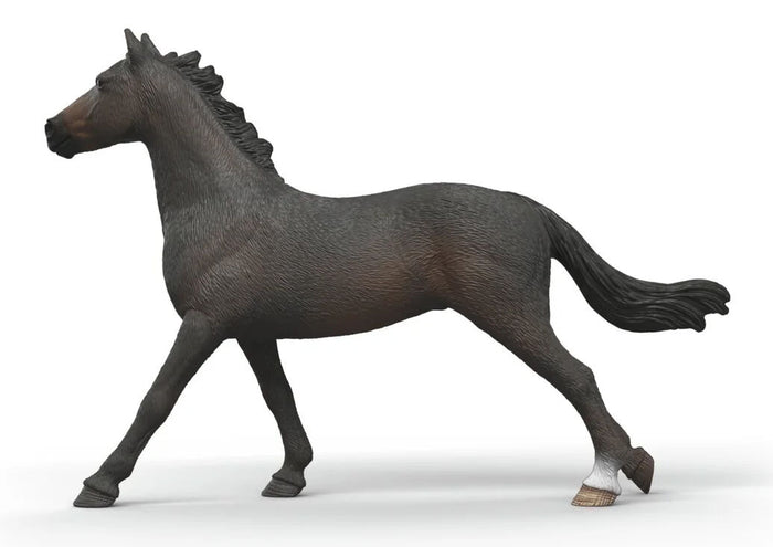 #14914S English Thoroughbred Mare