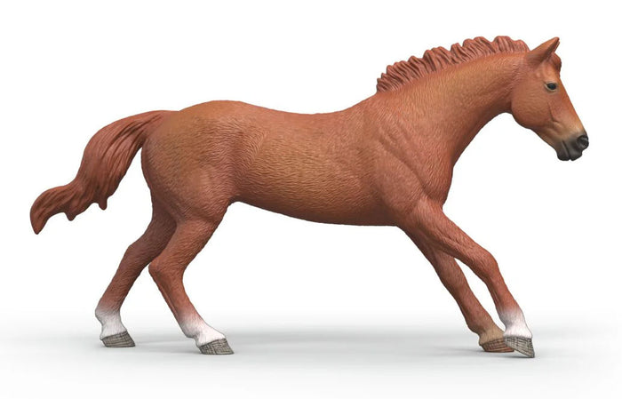 #14915S English Thoroughbred Stallion