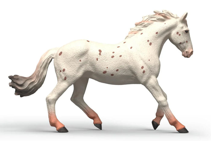 #14917S Knabstrupper Mare
