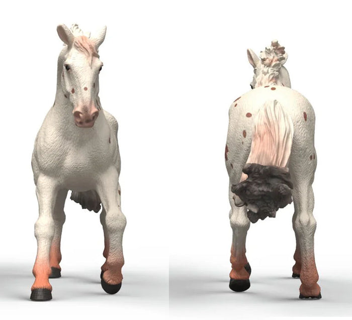 #14917S Knabstrupper Mare
