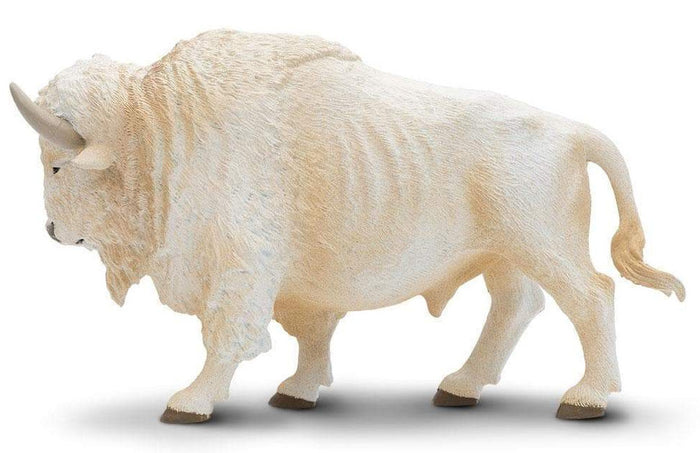 #180929 White American Buffalo