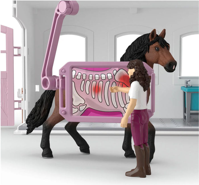 #42787 1/20 Happy Horse Hospital