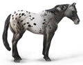 #88947 Appaloosa Blue Roan Horse
