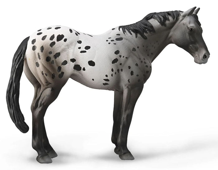 #88947 Appaloosa Blue Roan Horse