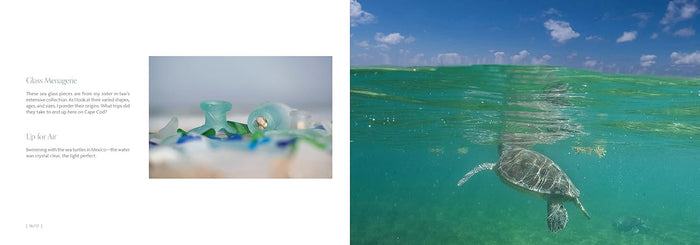 Beaches Book - Celebrating Stones, Sand and Surf
