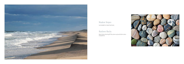 Beaches Book - Celebrating Stones, Sand and Surf
