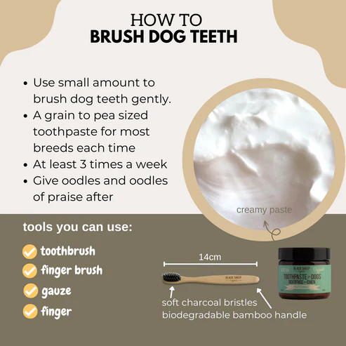 Black Sheep Organics Dental Products