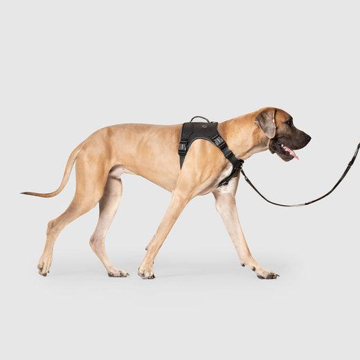 Canada Pooch Complete Control Harness