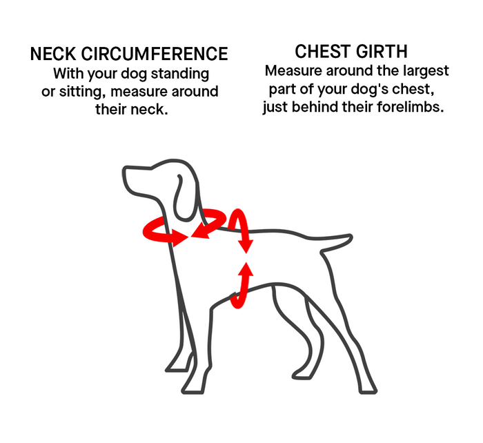 Canada Pooch Complete Control Harness