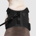 Canada Pooch Complete Control Harness