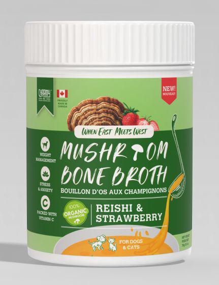 Charmy Mushroom Bone Broth