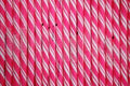 Circus Sticks Bubblegum 96 Count