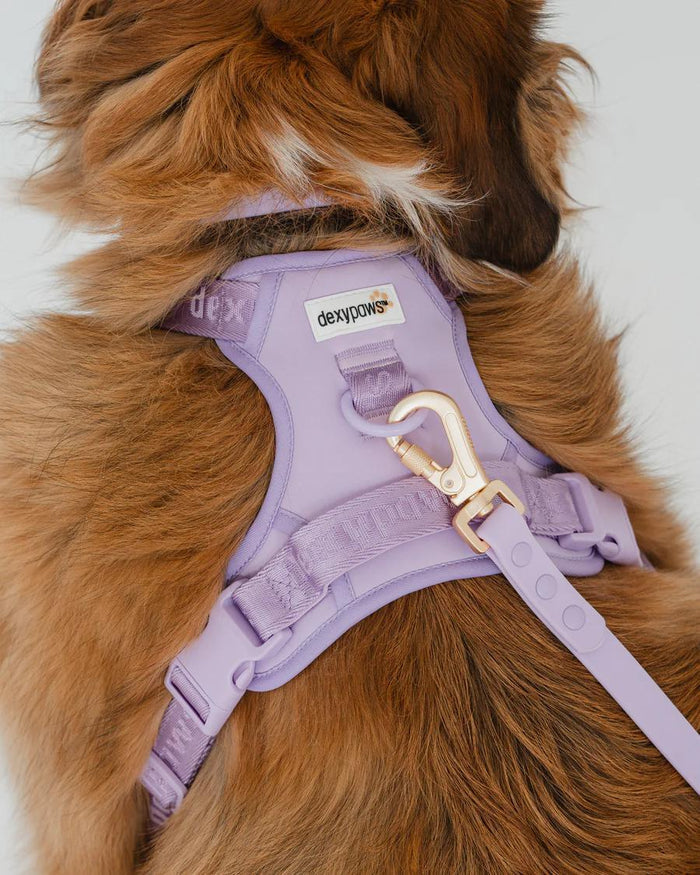 Lilac / Small