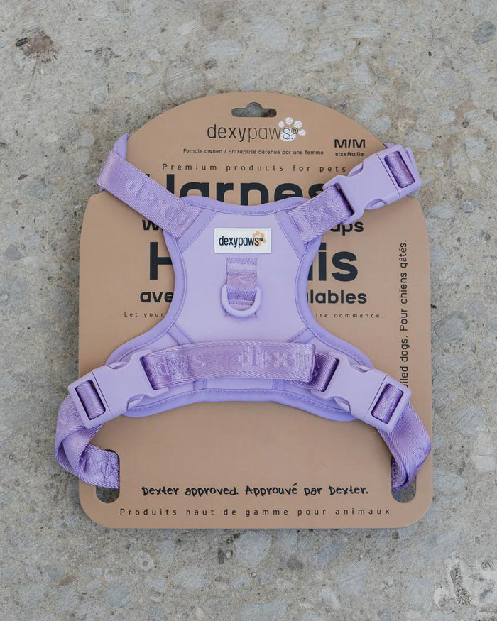 Lilac / Medium