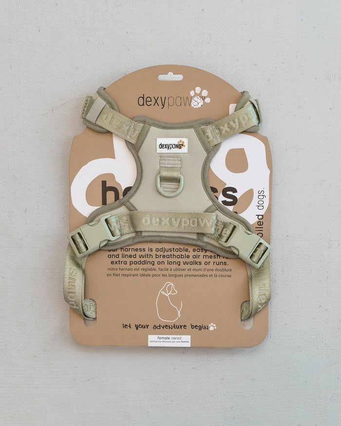 Dexypaws No-Pull Dog Harness