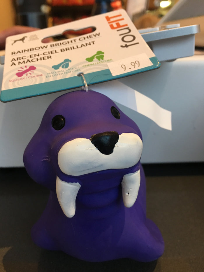 FouFit Rainbow Bright Walrus