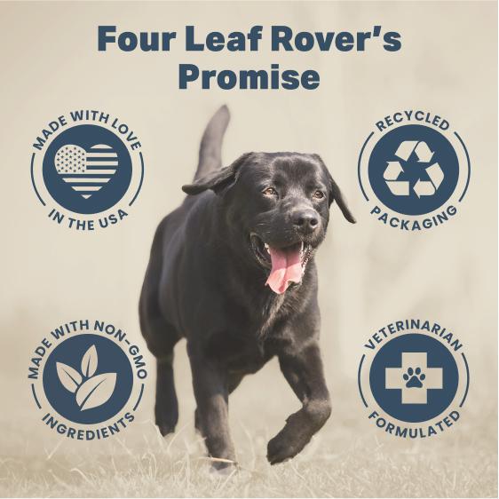 Four Leaf Rover Hip & Joint