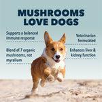 Four Leaf Rover Seven 'Shrooms
