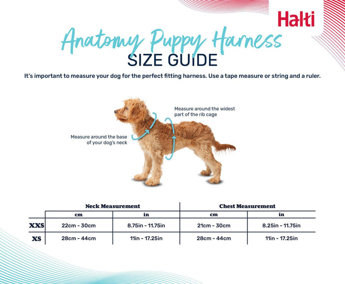 Halti Anatomy Harness for Puppies