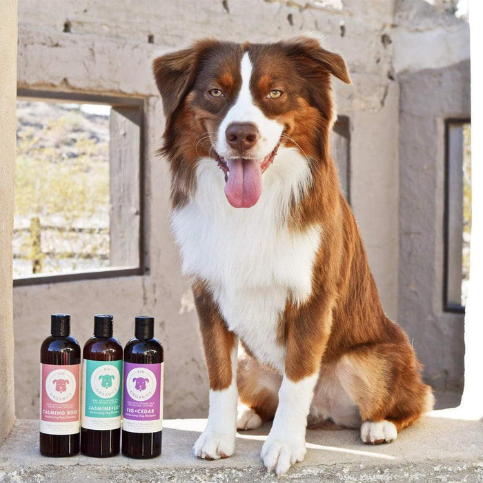 kin+kind Kin Organics Oatmeal Itchy Dog Shampoo