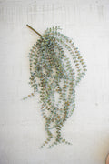 Large Hanging Necklace Fern