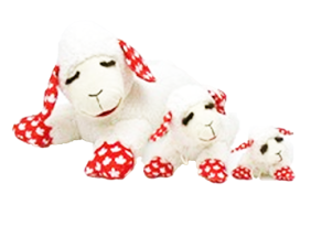 MultiPet Lamb Chop Canada Day!
