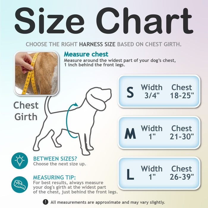 dog-chest-harness