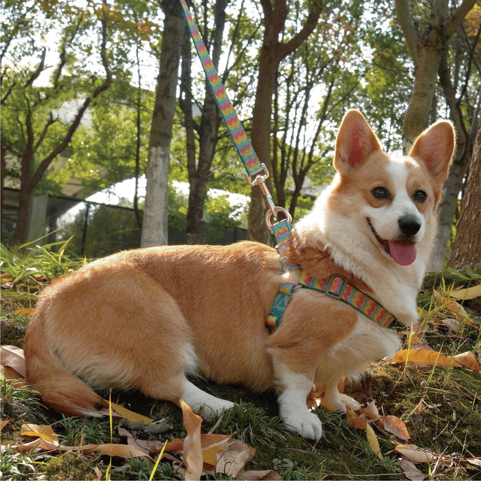 dog-chest-harness