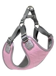Pretty Paw Berlin Rose Harness