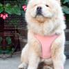 Pretty Paw Berlin Rose Harness