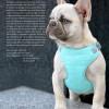 Pretty Paw Berlin Skye Harness