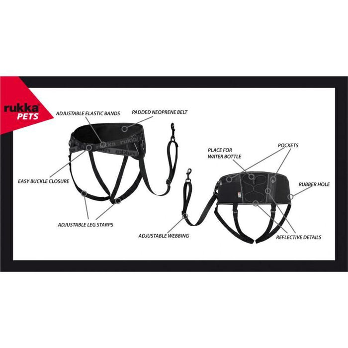 Running Belt