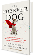 The Forever Dog