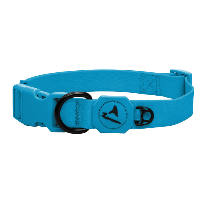 Small / Turquoise