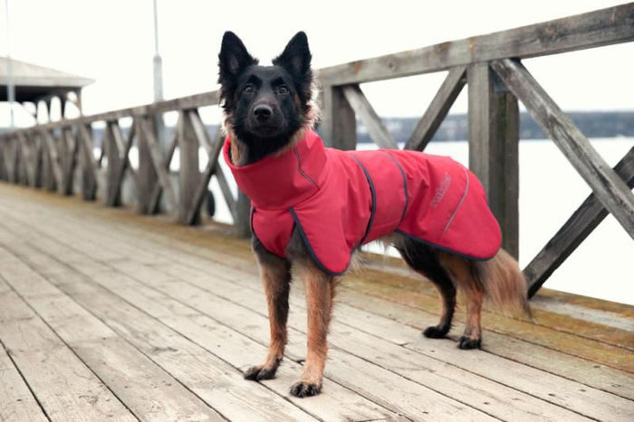 Windy Jacket